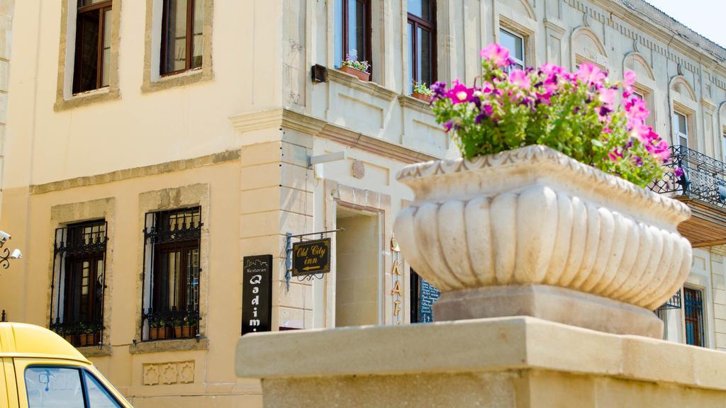 Hotel Old